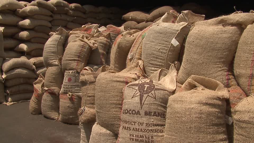 10/11/16 Les ventes par anticipation de cacao suspendus en Côte d'Ivoire